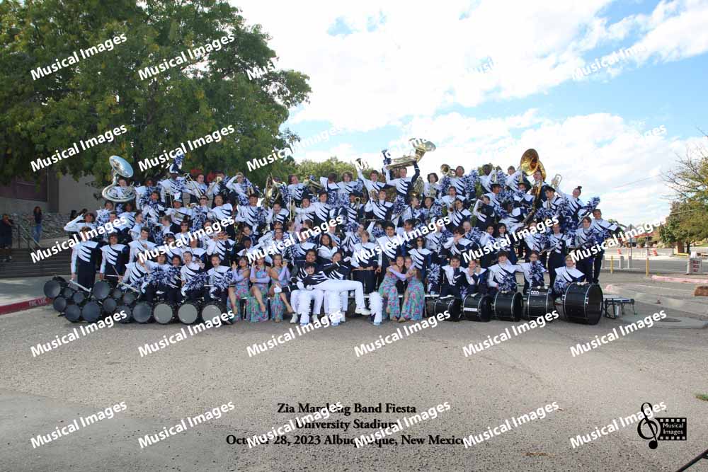 Musical Images